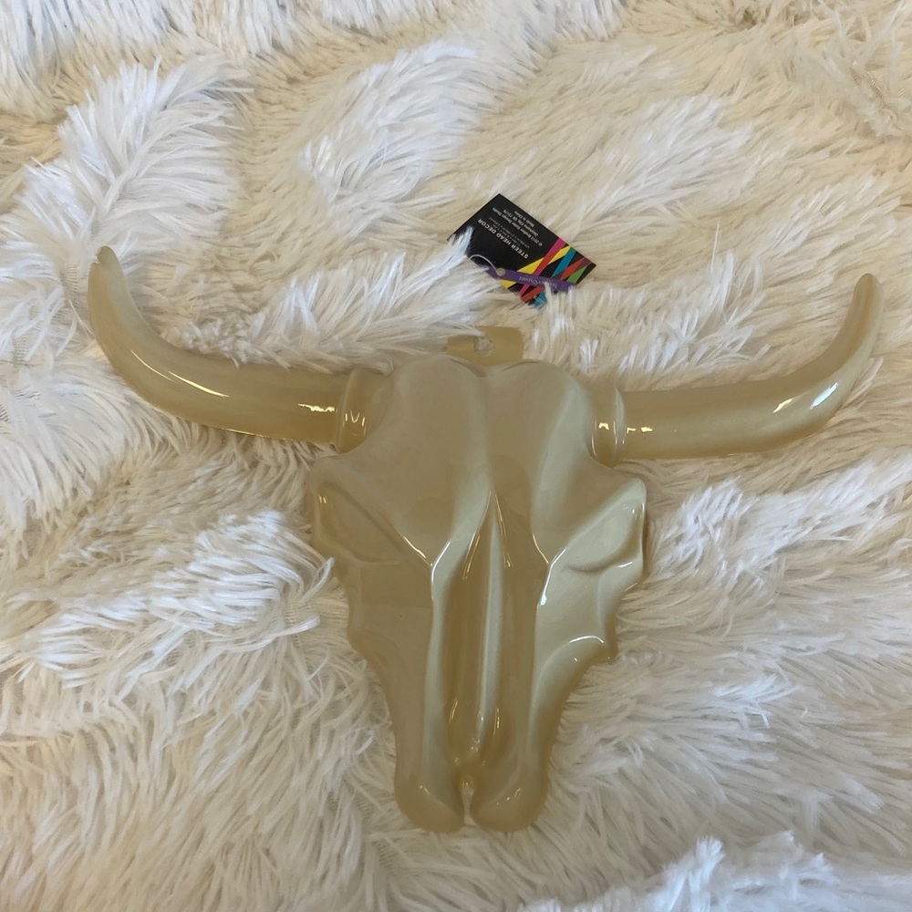 Steer Skull Western Decor - Picture 7 of 8